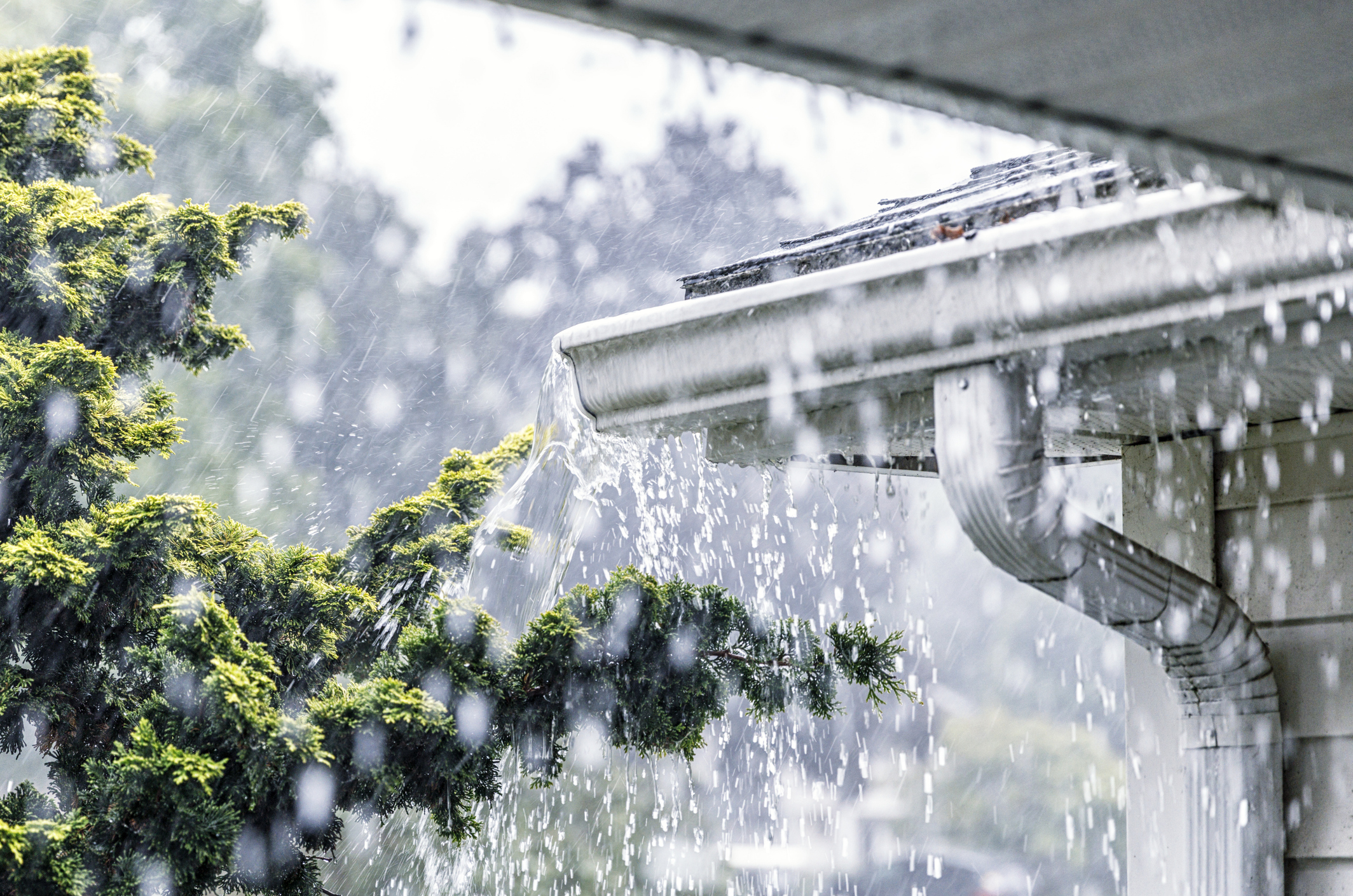 Heavy rain storm damage to a residential roof