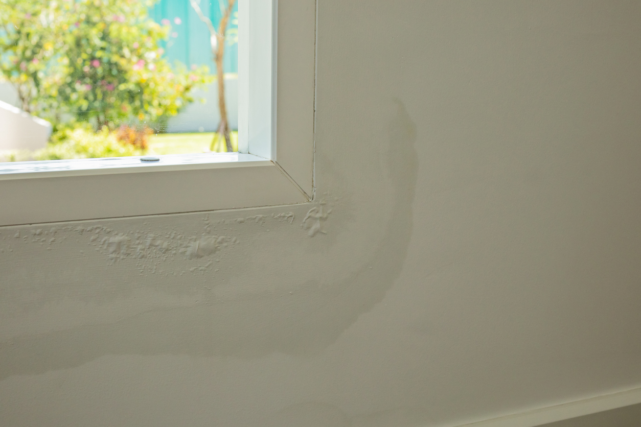 Paint bubbling and peeling off a wall due to moisture seeping through drywall