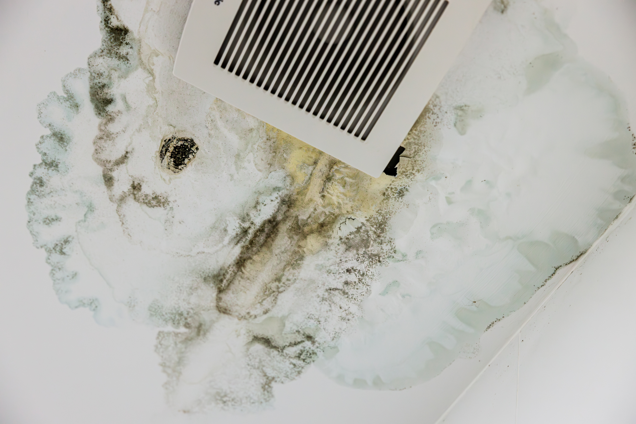 Mold on bathroom ceiling caused by poor ventilation