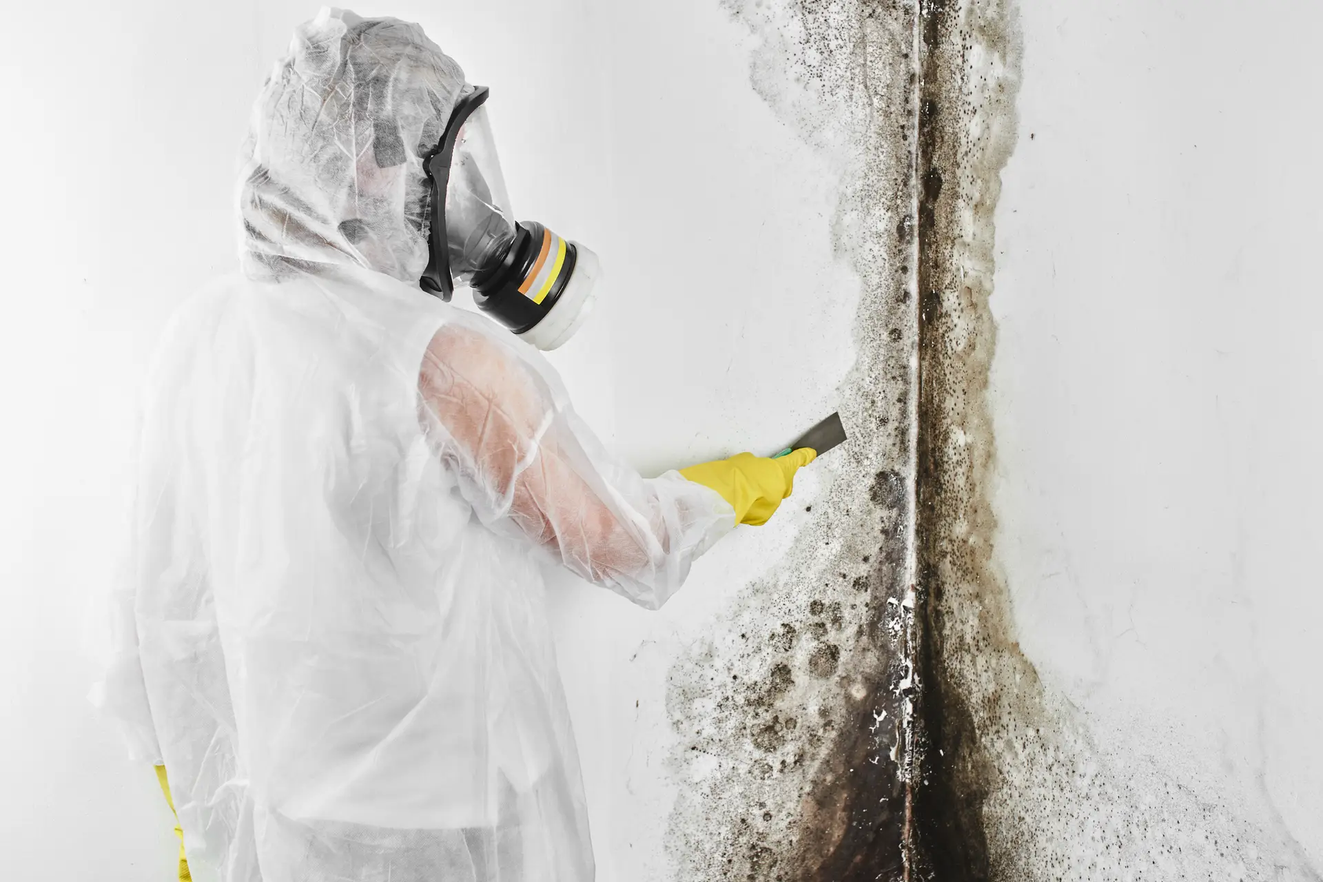 Mold remediation technician treating Oceanside home