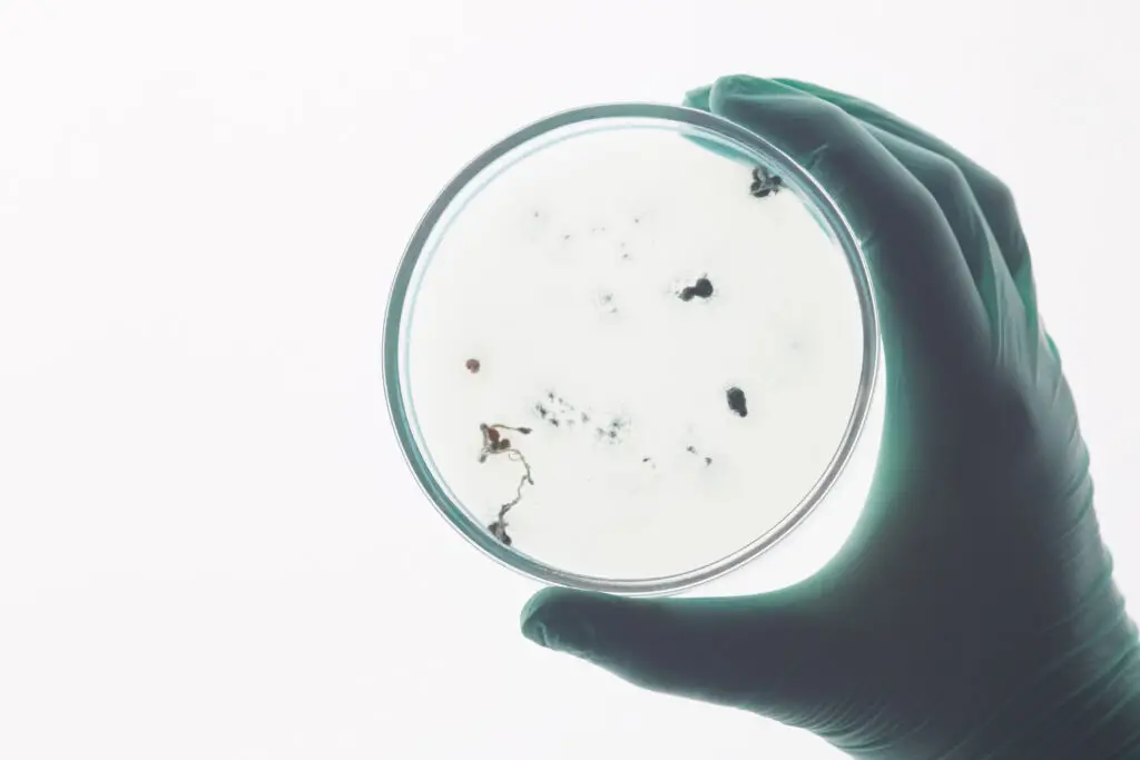 Is Mold Making You Sick? Top Warning Signs You Shouldn’t Ignore