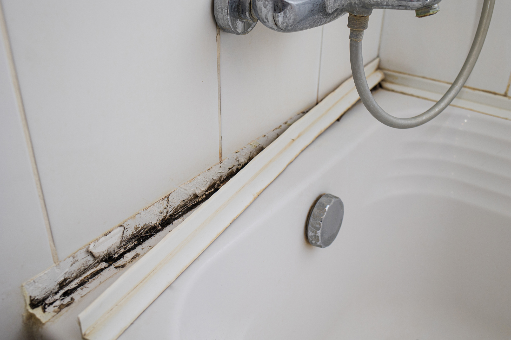 Hidden mold growing in a bathroom corner