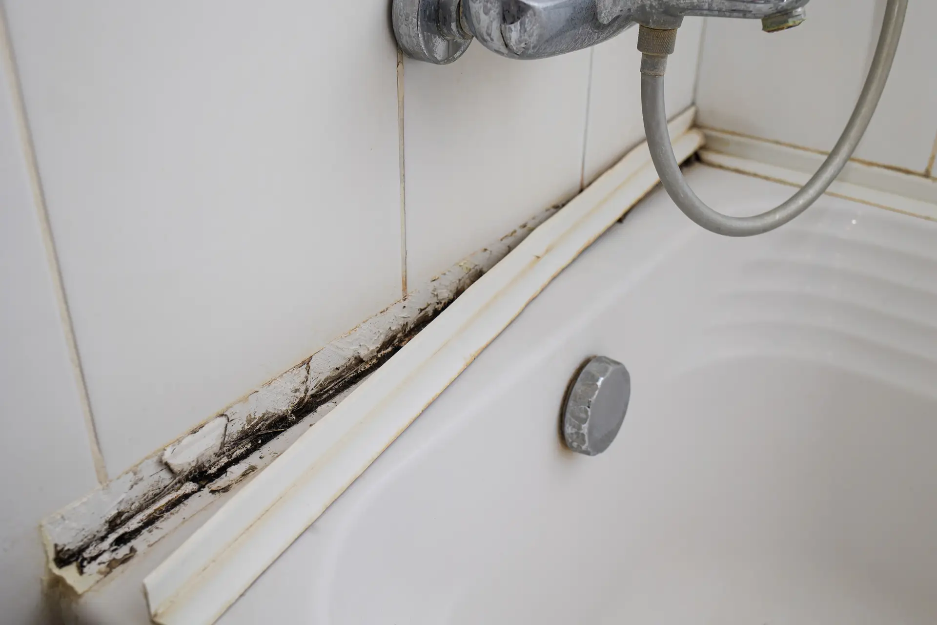 Hidden Signs of Mold in Your Home