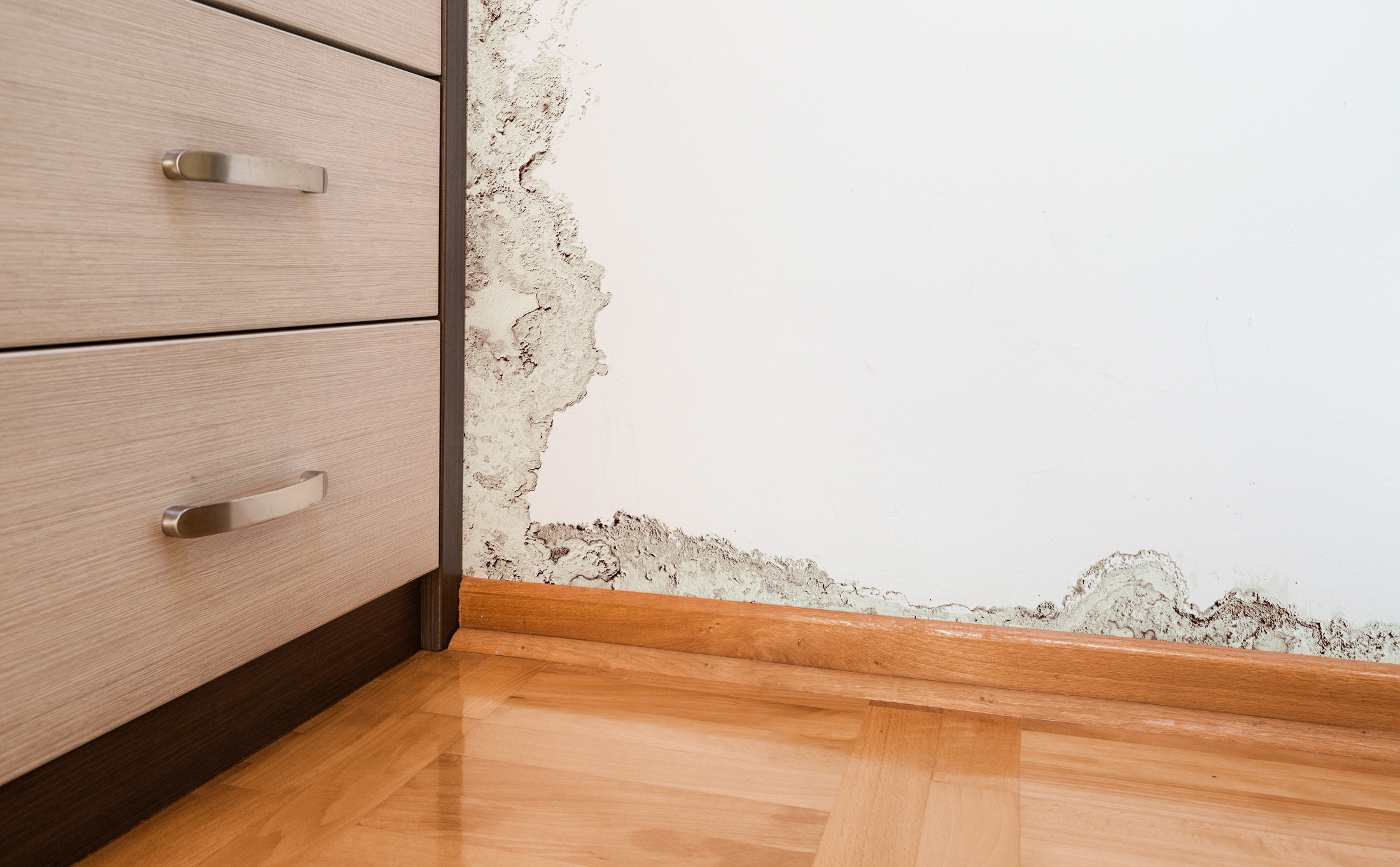 Mold growth on a wall after water damage requiring professional remediation