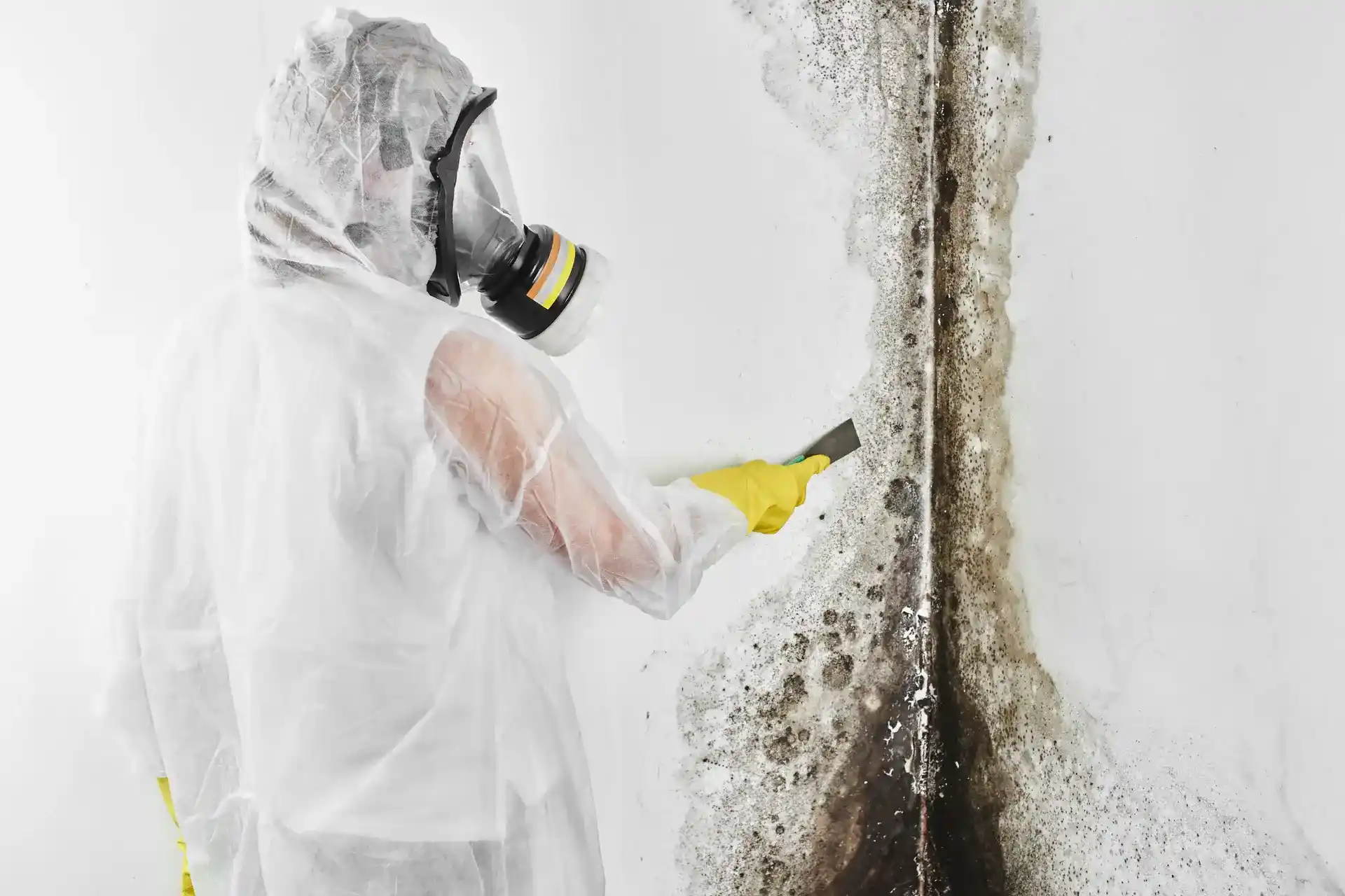 Mold remediation technician treating Spokane home