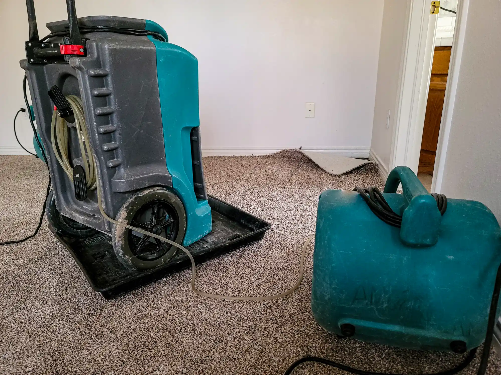 Professional Sewage Cleanup Equipment