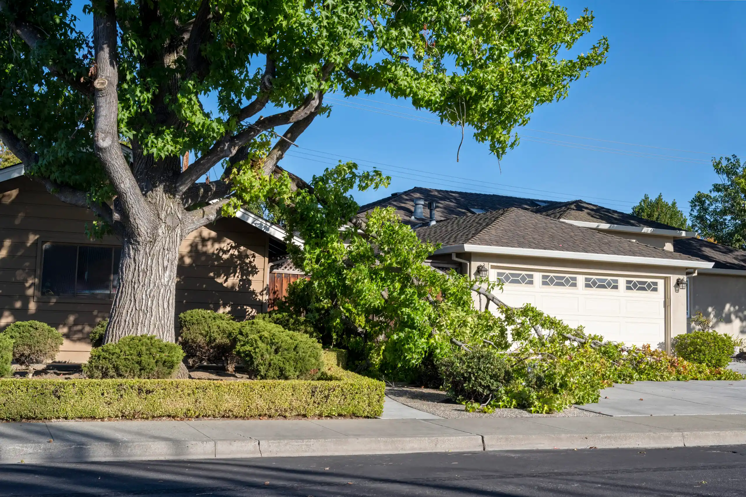 Storm-fallen tree causing roof damage to Spokane home
