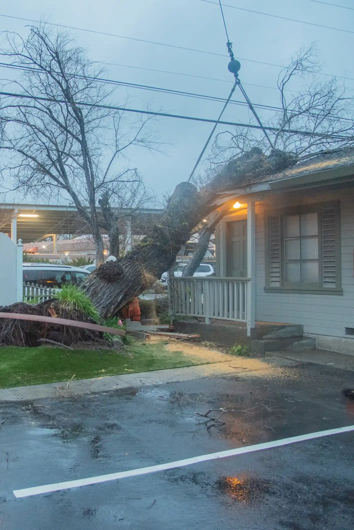 Storm damage restoration Spokane fallen tree on roof