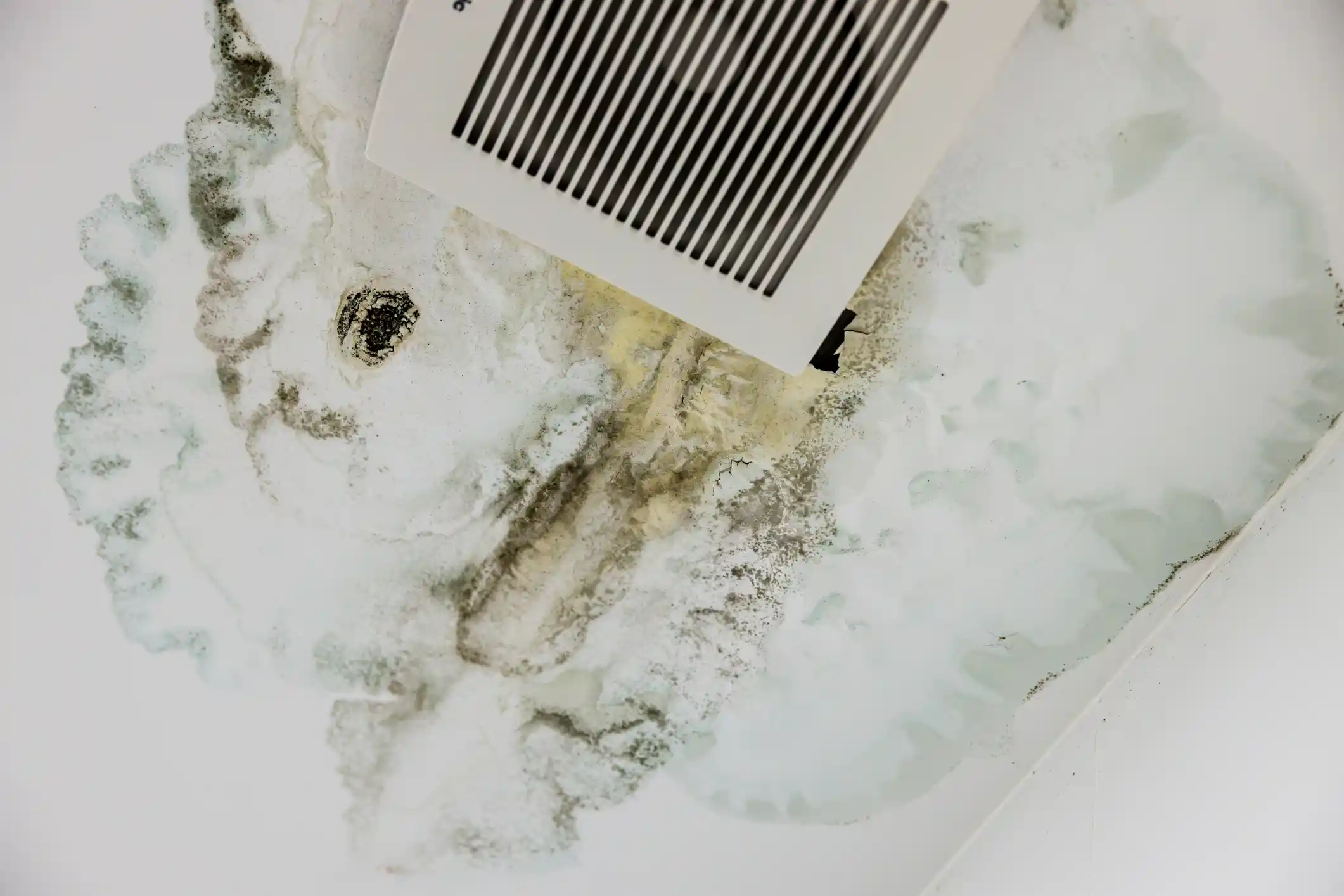 Mold on bathroom ceiling caused by poor ventilation