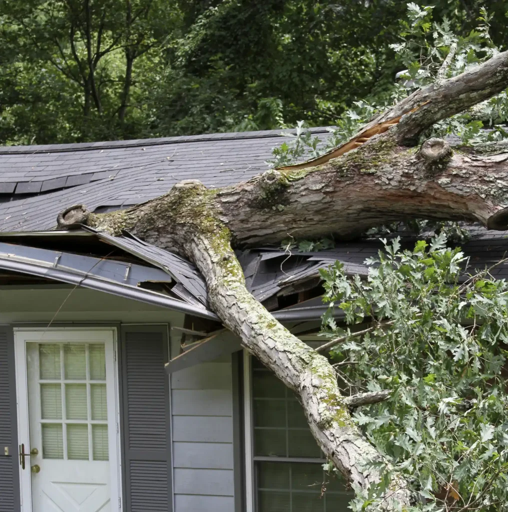 Storm Damage Restoration