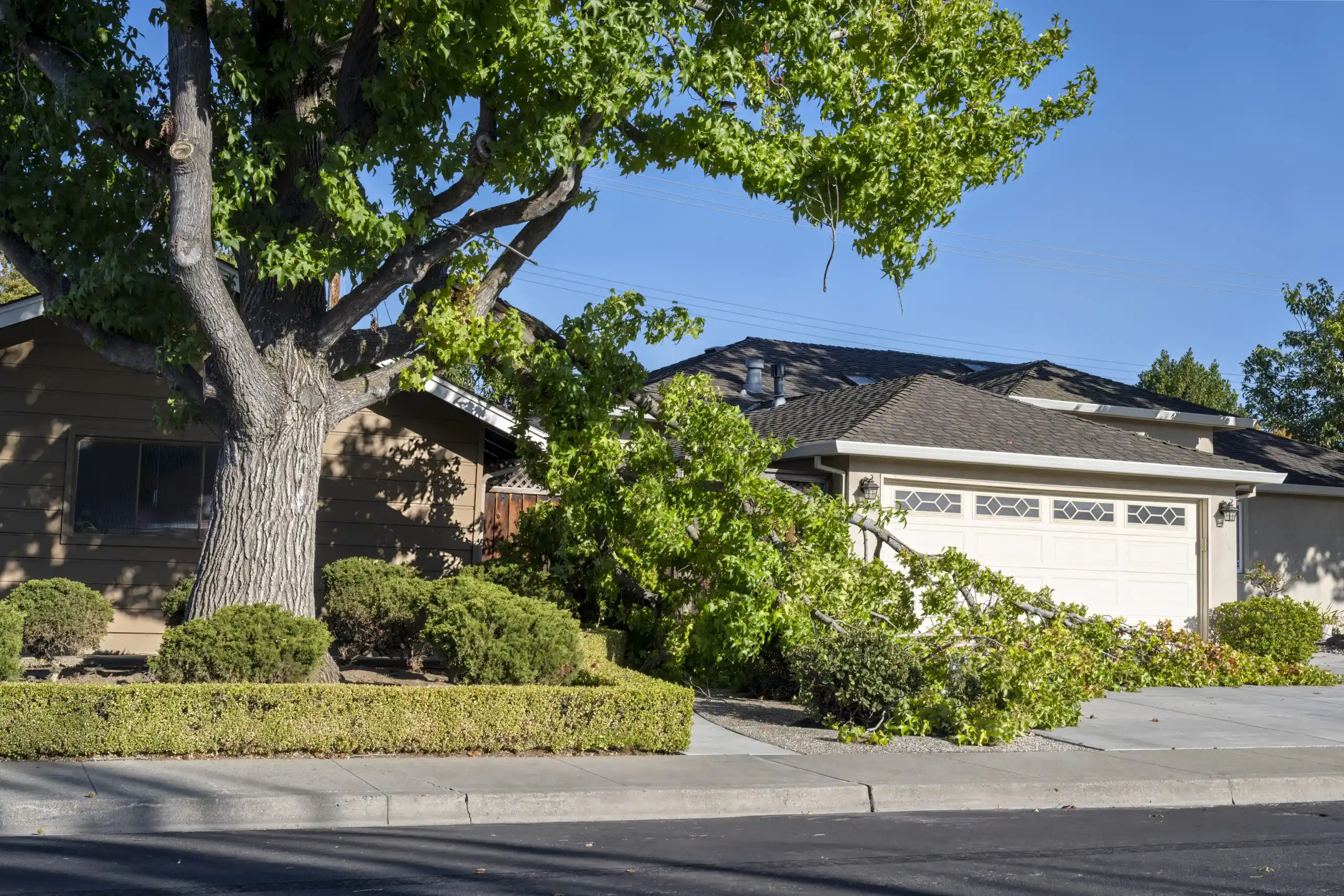 Tree fallen on house causing structural roof damage